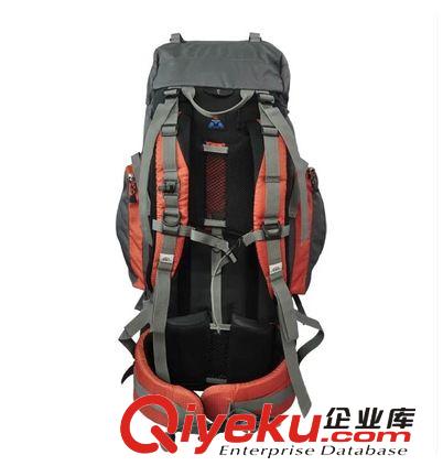 zpDoite 6695  雙肩登山戶外包 徒步包 旅行包 60升 騎行包原始圖片2
