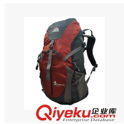 zpDoite 6639 戶外包 雙肩背包 登山包 壁虎系列 35L  騎行包原始圖片2