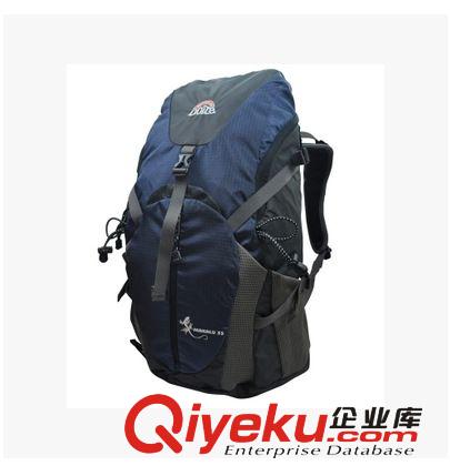 zpDoite 6639 戶外包 雙肩背包 登山包 壁虎系列 35L  騎行包原始圖片3