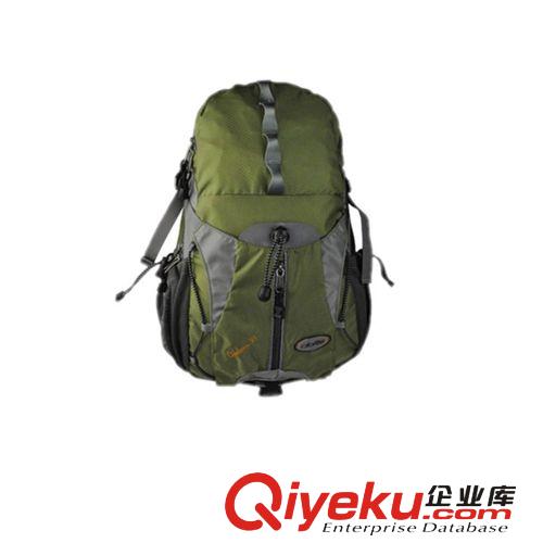 廠家直銷騎行背包 zp包郵山地自行車裝備單車雙肩背包批發