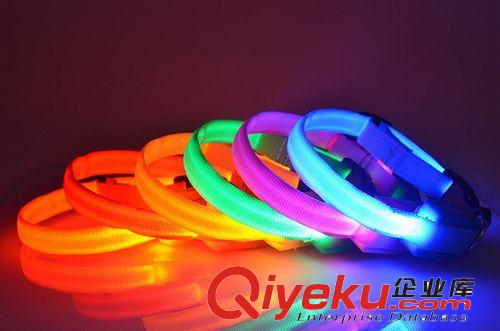 LED發(fā)光項(xiàng)圈 比熊泰迪狗狗可愛(ài)夜光 寵物項(xiàng)圈 小型犬寵物牽引狗圈原始圖片2