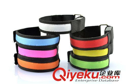 LED電子產(chǎn)品 自行車輻條燈 歐美熱銷 戶外運(yùn)動(dòng)安全警示用品