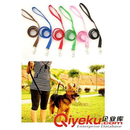 豪華寵物牽引繩 狗拉帶狗圈 中大型犬狗繩廠家批發直供