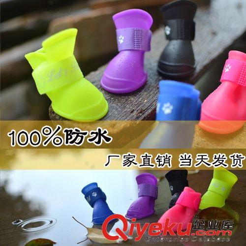 泰迪貴賓比熊犬 寵物狗狗卡通鞋子新款防水防滑狗狗休閑運(yùn)動(dòng)雨鞋