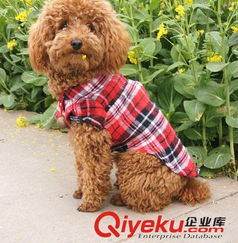 新款2014寵物衣服春夏衣服 狗時(shí)尚格子衫 泰迪服裝 外貿(mào)狗衣服