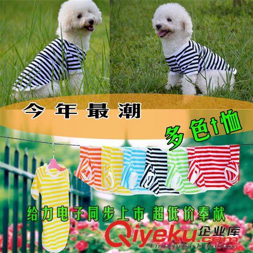 廠家直銷條 LED發光紋襯衫狗衣服 寵物潮流時尚T桖現貨供應