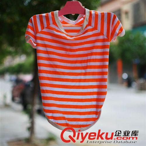 包郵狗狗衣服春夏裝小泰迪衣服貴賓寵物衣服春秋裝小型犬幼犬衣服原始圖片2