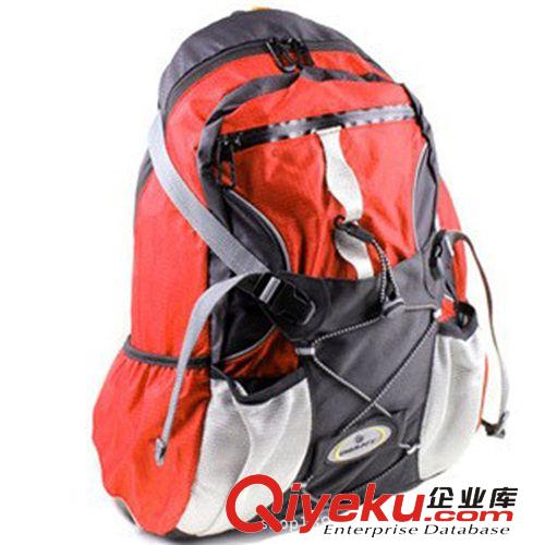 逐路自行車包雙肩騎行背包透氣男女山地車裝備 運動【GIANT背包】原始圖片2