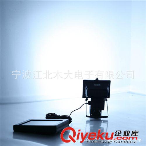 新款歐式太陽能壁燈，花園壁燈 led草坪路燈  射燈原始圖片3