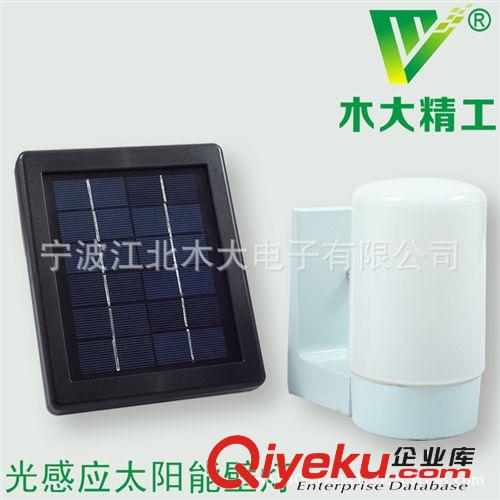 太陽能燈戶外燈 歐式壁燈 可遠程遙控控制 山體亮化 廠價直銷原始圖片2