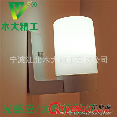 太陽能燈戶外燈 歐式壁燈 可遠程遙控控制 山體亮化 廠價直銷原始圖片3