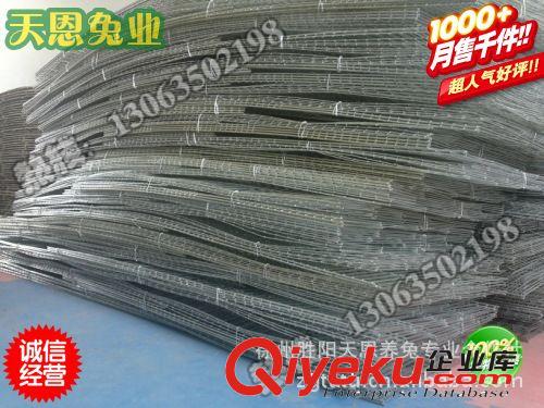 【直供】兔用料盒 兔籠用品 食槽  寵物兔 獺兔兔場（100克）