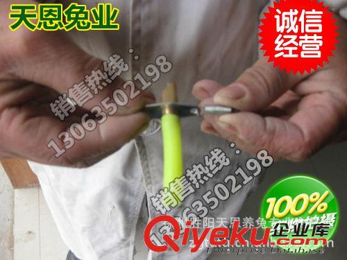 兔用飲水器 自動(dòng)飲水器 量大從優(yōu)  兔飲水器 兔自動(dòng)飲水器