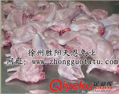 徐州天恩兔業(yè)常年出售白條兔肉 兔腿 兔頭 量大從優(yōu)