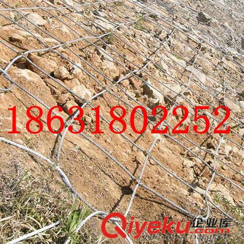 專業(yè)生產(chǎn)高速公路滑坡中使用邊坡防護(hù)網(wǎng)山坡防護(hù)網(wǎng)原始圖片2