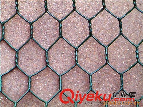 專業生產建筑墻面固定隔熱用六角網原始圖片2
