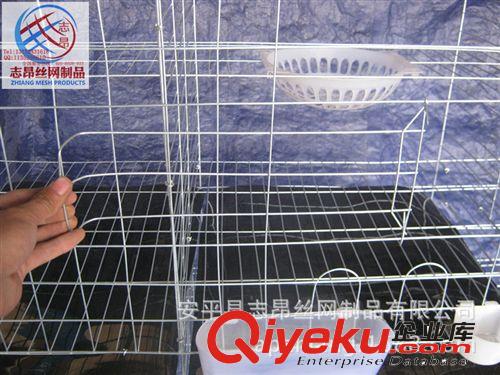 獺兔鴿子鵪鶉養(yǎng)殖籠具專用60-70厘米寬塑料托糞板