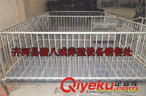仔豬保育床 保育欄 國(guó)標(biāo)雙體保育床 養(yǎng)殖設(shè)備 養(yǎng)豬設(shè)備 機(jī)械設(shè)備