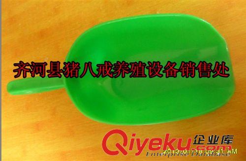 原料級塑料飼料鏟 豬用飼料鏟  山東養(yǎng)殖設(shè)備 養(yǎng)豬設(shè)備 機械設(shè)備