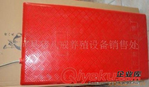 豬用電熱板 仔豬保溫板 吉林 黑龍江養(yǎng)殖設(shè)備 養(yǎng)豬設(shè)備 機(jī)械設(shè)備