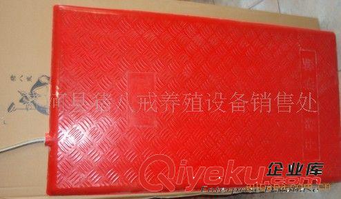 仔豬電熱板 電熱板 山東畜牧養(yǎng)豬設(shè)備 養(yǎng)殖設(shè)備 機(jī)械設(shè)備