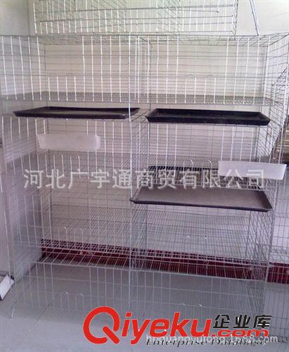 廠家供應(yīng)雛雞籠用托糞板 隔糞板 托盤 接糞板 立式雛雞托糞板原始圖片3