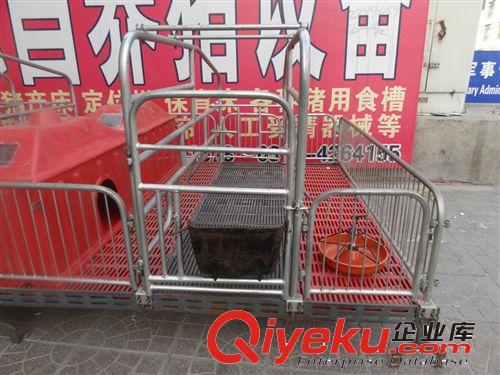 廠家直銷各種優(yōu)質(zhì)仔豬保育床,雙體保育床，各種尺寸保育床。原始圖片3