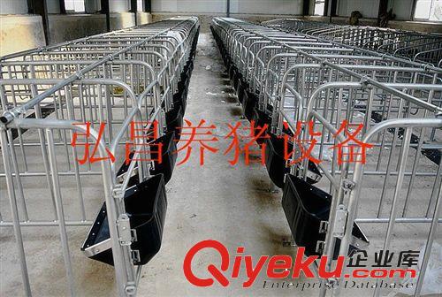 河北養(yǎng)豬設(shè)備廠家母豬限位欄10個(gè)豬位定位欄可帶食槽限位欄價(jià)格原始圖片2