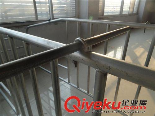 河北養(yǎng)豬設(shè)備廠家母豬限位欄10個(gè)豬位定位欄可帶食槽限位欄價(jià)格原始圖片3
