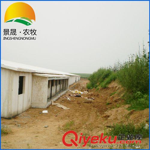 承接各種 保溫雞舍活動房 大型保溫雞舍 鄭州