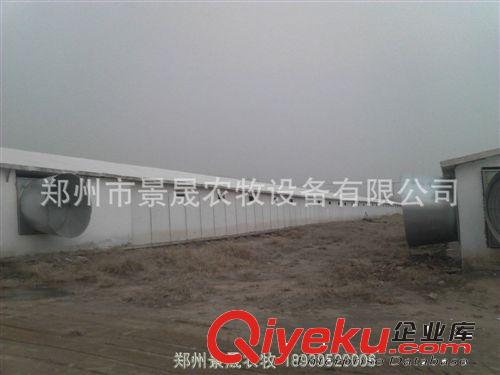 保溫雞舍廠專業(yè)承接 鄭州保溫雞舍 保溫雞舍活動房