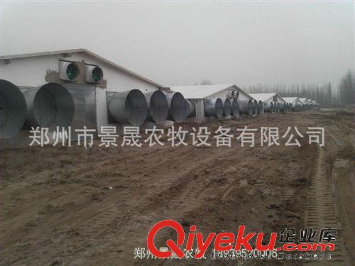 保溫雞舍廠專業(yè)承接 鄭州保溫雞舍 保溫雞舍活動房