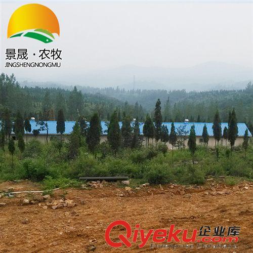 專業(yè)設(shè)計(jì) 新型保溫雞舍 簡易玻璃鋼保溫雞舍