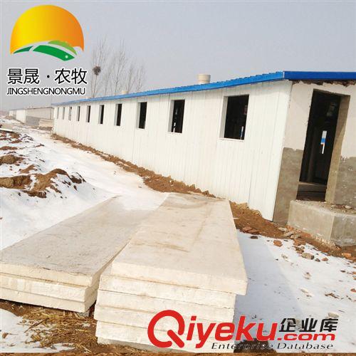 廠家來圖加工 保溫雞舍廠專用 大棚保溫雞舍