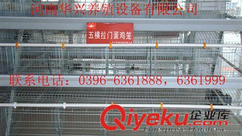 廠家直銷蛋雞雞籠|雛雞雞籠子 可訂做各種規(guī)格雞籠 華興雞籠廠原始圖片2