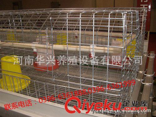 生產供應優(yōu)質蛋雞籠|蛋雞籠質量好|種雞籠|雛雞籠|保用十年原始圖片3