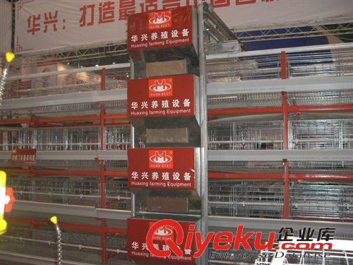 華興高潔凈清糞機(jī)階梯式/層疊式籠養(yǎng)設(shè)備原始圖片3