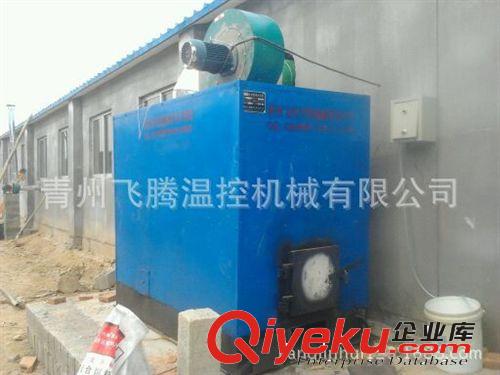 供應自動燃煤熱風機 家禽養殖 暖風爐設備原始圖片2