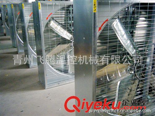 零利潤畜牧設(shè)備 青州飛騰畜牧設(shè)備 {zg}xjb畜牧設(shè)備原始圖片3