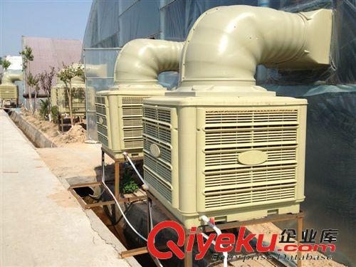 供應冷風機 青州飛騰冷風機  優質水冷風機