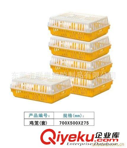 【堅固耐用】供應全新PE料的塑膠周轉雞籠網格型原始圖片3