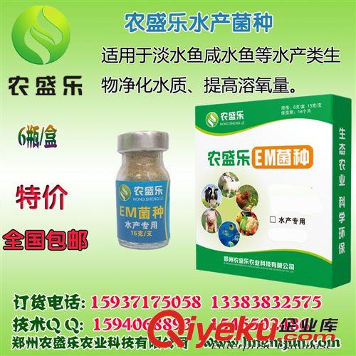 農盛樂水產菌種漁寶凈化水質環(huán)保除臭凈水劑em菌光合xj提高融氧原始圖片2