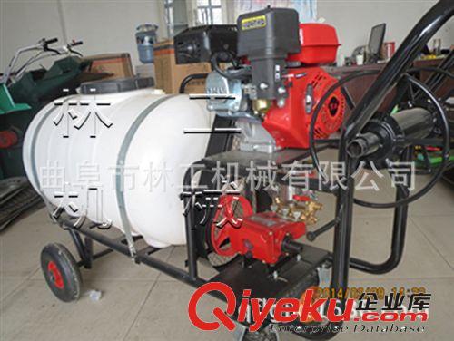 樹木打藥機(jī)，園林噴霧機(jī)，背負(fù)式噴霧器 sy原始圖片2