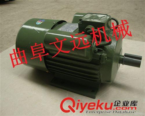 廠價供應單項電機  異步電動機  馬達原始圖片2