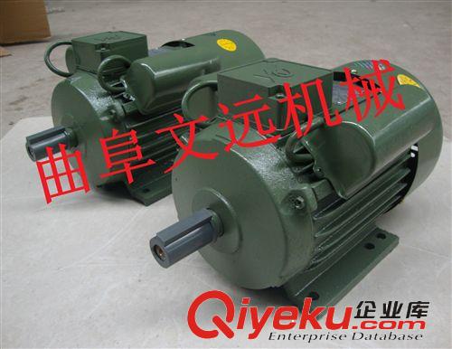 廠價供應單項異步電機   單相馬達  單相電動機  可定制原始圖片3