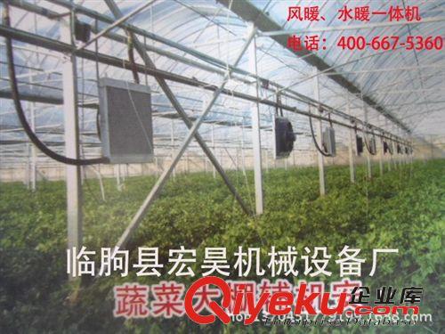 供應 大棗烘干機設備 核桃烘干機 木材烘干窯 木托盤烘干設備廠家原始圖片3