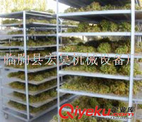 各種型號zcy烘干機 菊花干燥設備 百合烘干箱廠家