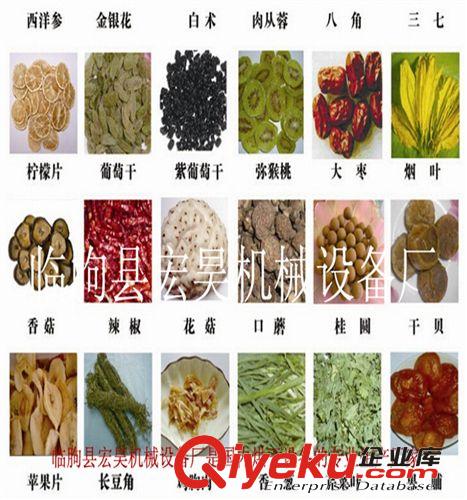 專業生產 木材烘干機 熱風循環烘箱 中藥材烘干機 單板烘干機原始圖片3