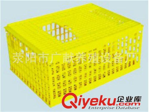 長期供應優質自鎖式成鴨籠  出口雞籠