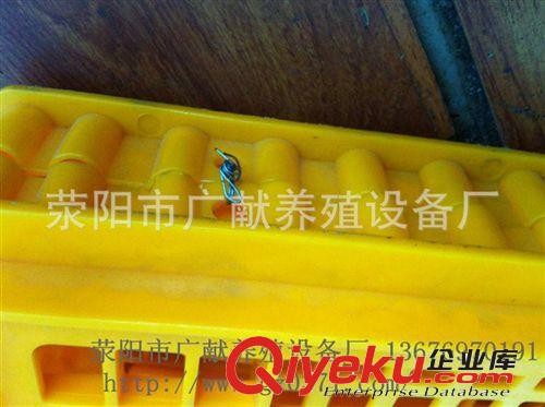 批發生產 自鎖式成雞箱 黃色塑料雞籠 出口雞籠